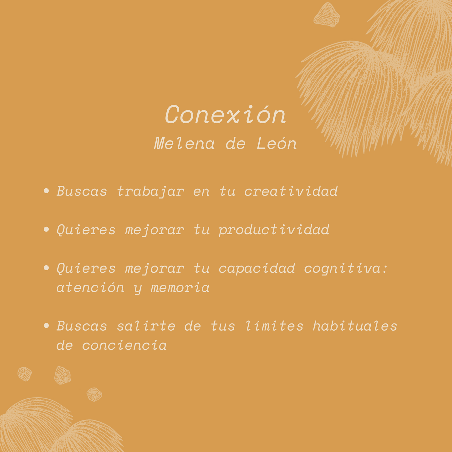 Microdosis - Conexión